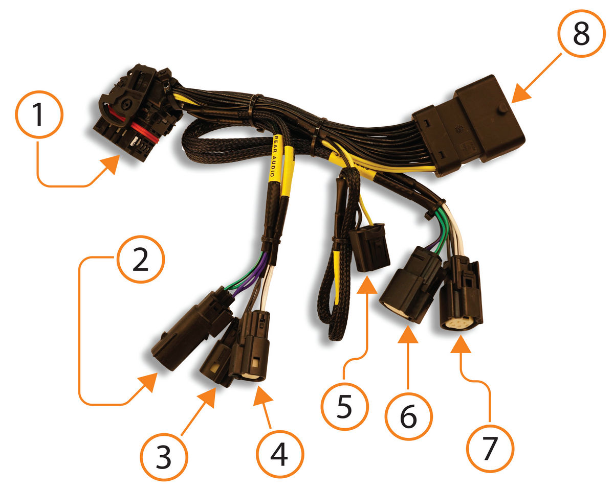 Figure 1 — Main radio T harness with connection points labeled