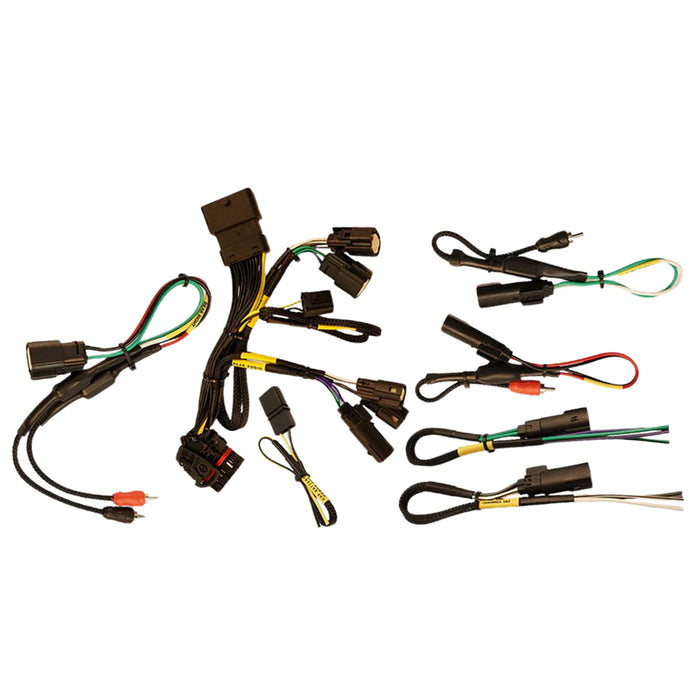 Radio T Harness for Harley baggers, 14-up